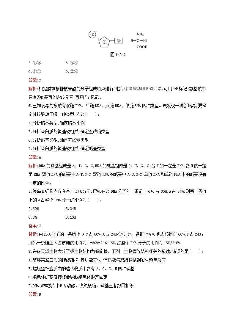 新教材适用2023年高中生物第1章遗传信息的分子基础测评A北师大版必修203