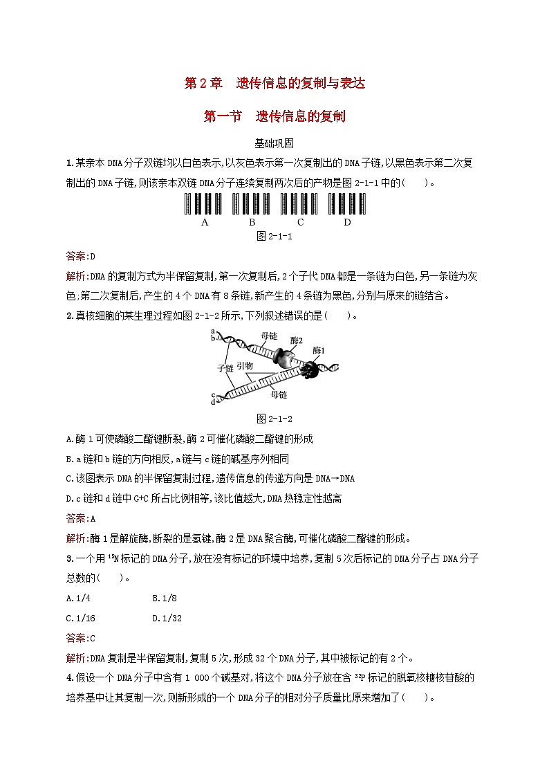 新教材适用2023年高中生物第2章遗传信息的复制与表达第1节遗传信息的复制课后习题北师大版必修201