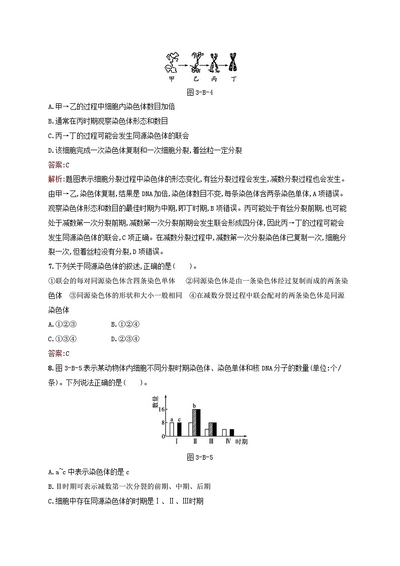 新教材适用2023年高中生物第3章遗传信息在亲子代之间传递测评B北师大版必修203