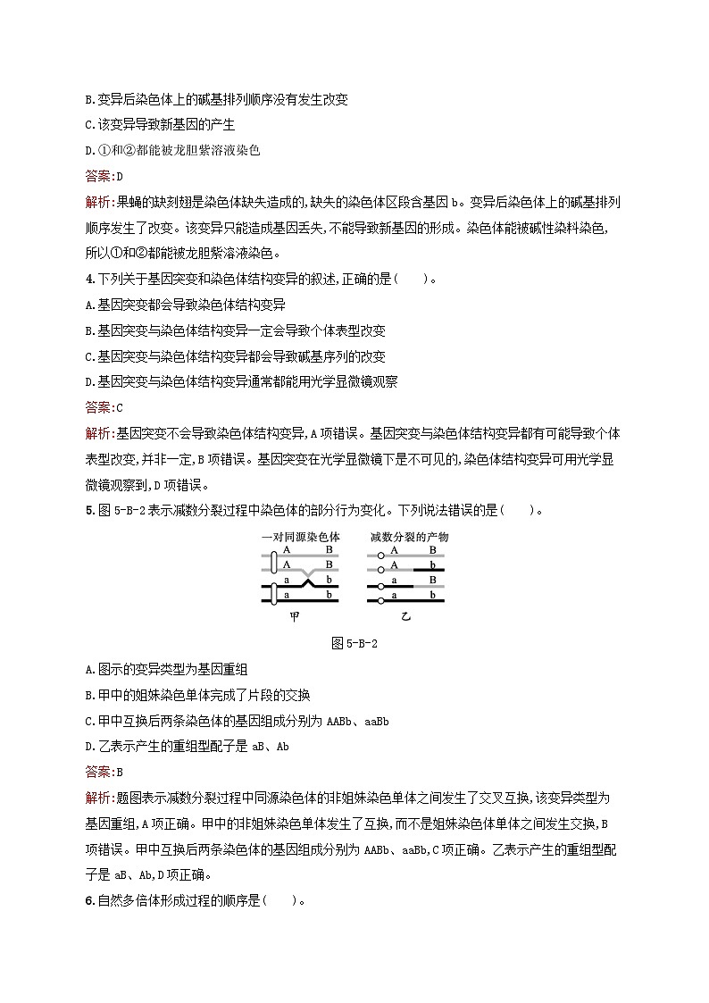 新教材适用2023年高中生物第5章遗传信息的改变测评B北师大版必修2第2页