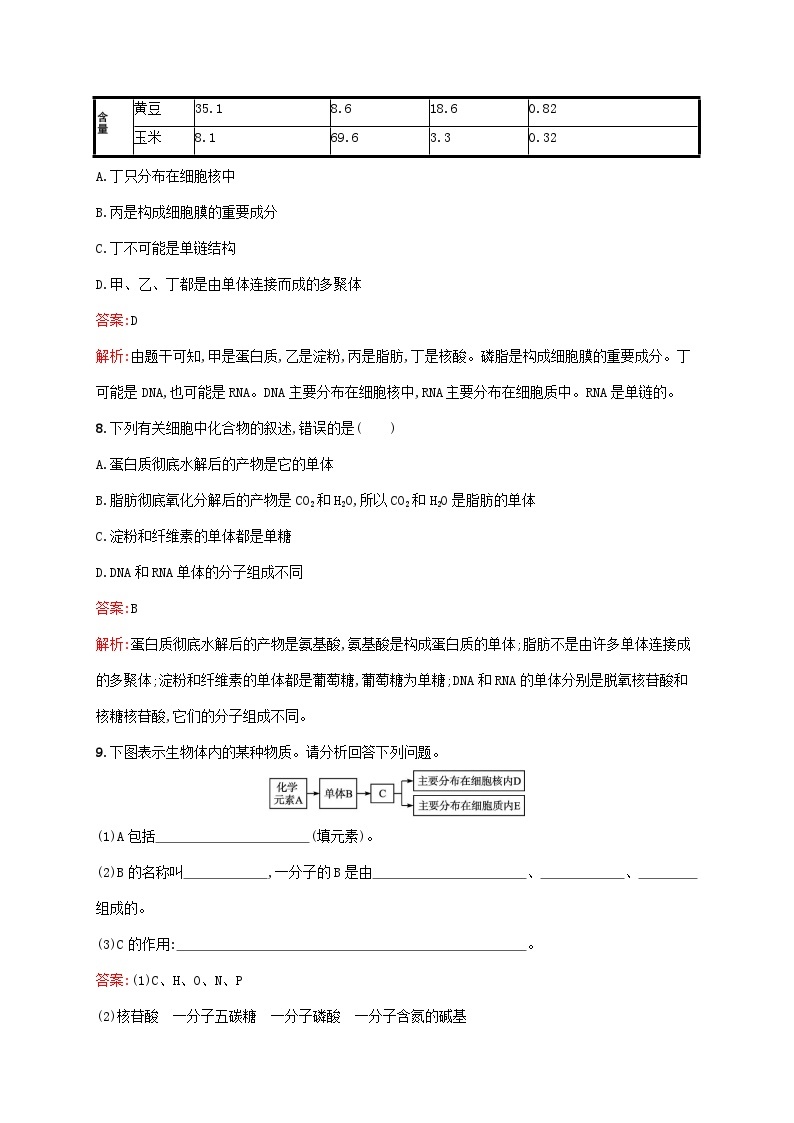 新教材适用2023年高中生物第2章组成细胞的分子第5节核酸是遗传信息的携带者课后习题新人教版必修103