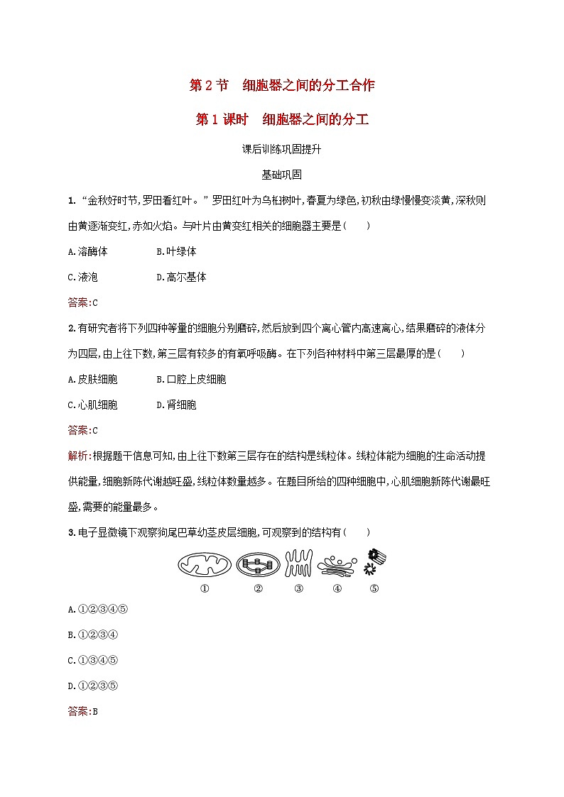 新教材适用2023年高中生物第3章细胞的基本结构第2节细胞器之间的分工合作第1课时细胞器之间的分工课后习题新人教版必修101