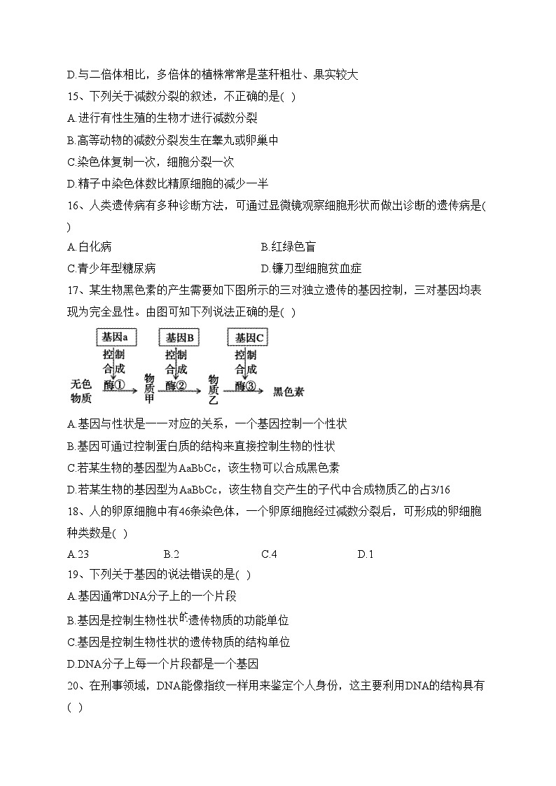 新疆生产建设兵团第二师八一中学2021-2022学年高一下学期期末考试生物试卷(含答案)03