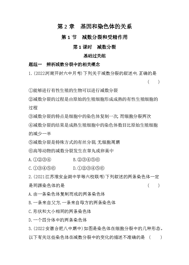 2023人教版高中生物必修2 遗传与进化 第2章 基因和染色体的关系 第1节 减数分裂和受精作用 试卷01