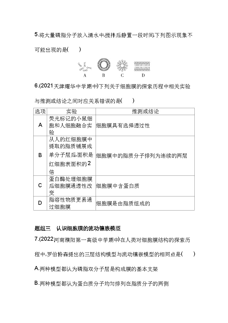 2023人教版高中生物必修1 分子与细胞 第3章 细胞的基本结构 第1节 细胞膜的结构和功能 试卷03