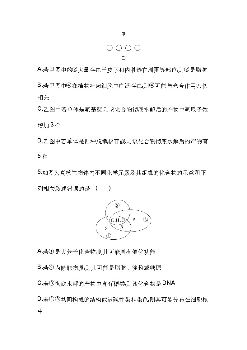 2023人教版高中生物必修1 分子与细胞 第2章 组成细胞的分子 第1、2章复习提升第3页