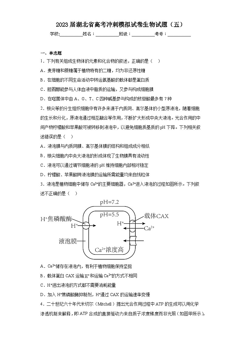 2023届湖北省高考冲刺模拟试卷生物试题(五)(含解析)01