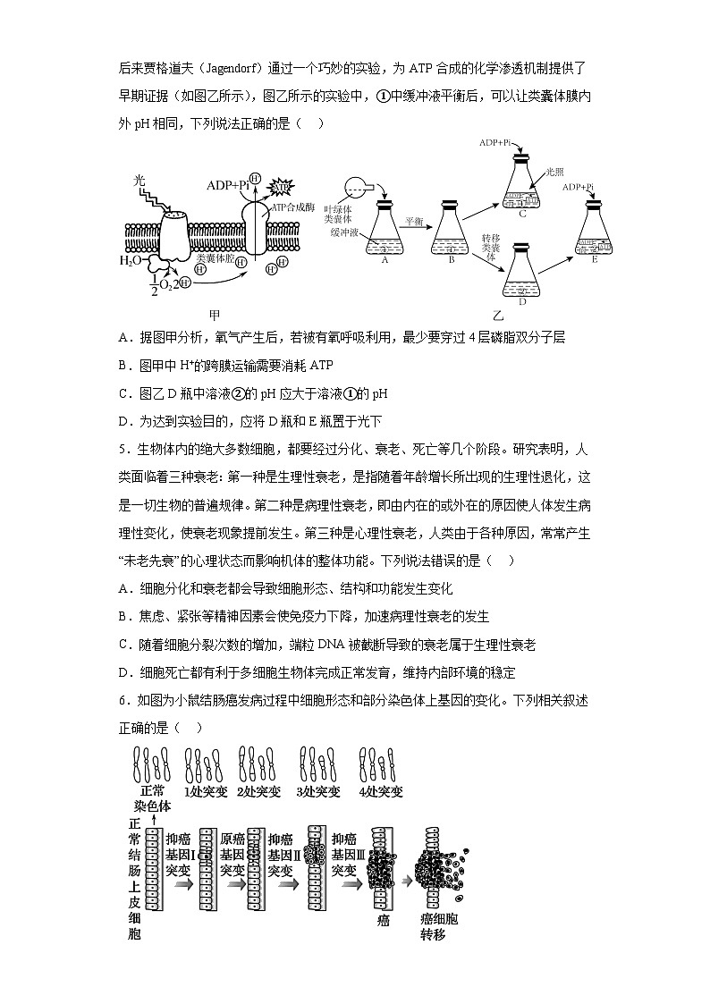 2023届湖北省高考冲刺模拟试卷生物试题(五)(含解析)02