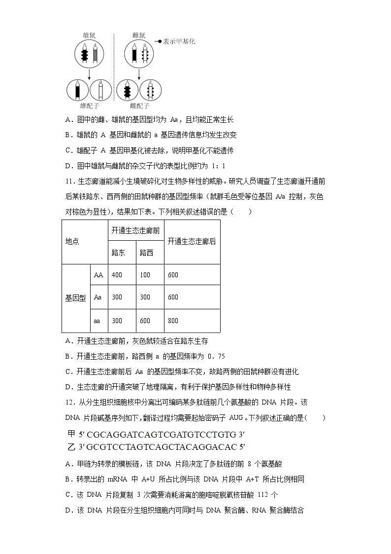 2023届江苏省海安高级中学高三下学期模拟考试生物试题（含解析）03