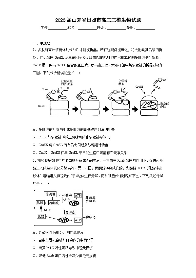 2023届山东省日照市高三三模生物试题(含解析)01