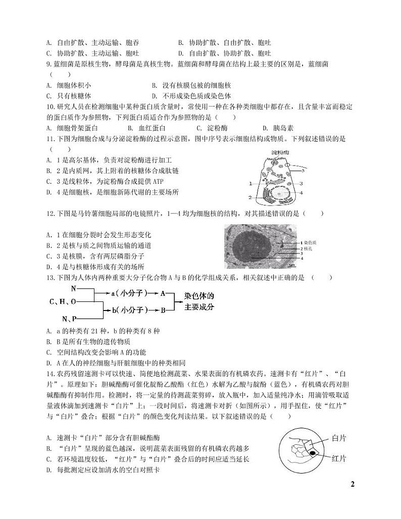 上海闵行中学2022年高一下学期生物期中试卷真题第2页