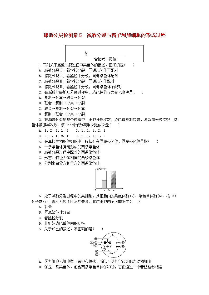 新教材2023版高中生物課后分層檢測(cè)案5減數(shù)分裂與精子和卵細(xì)胞的形成過(guò)程新人教版必修2第1頁(yè)