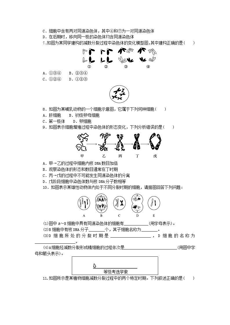 新教材2023版高中生物課后分層檢測(cè)案5減數(shù)分裂與精子和卵細(xì)胞的形成過(guò)程新人教版必修2第2頁(yè)