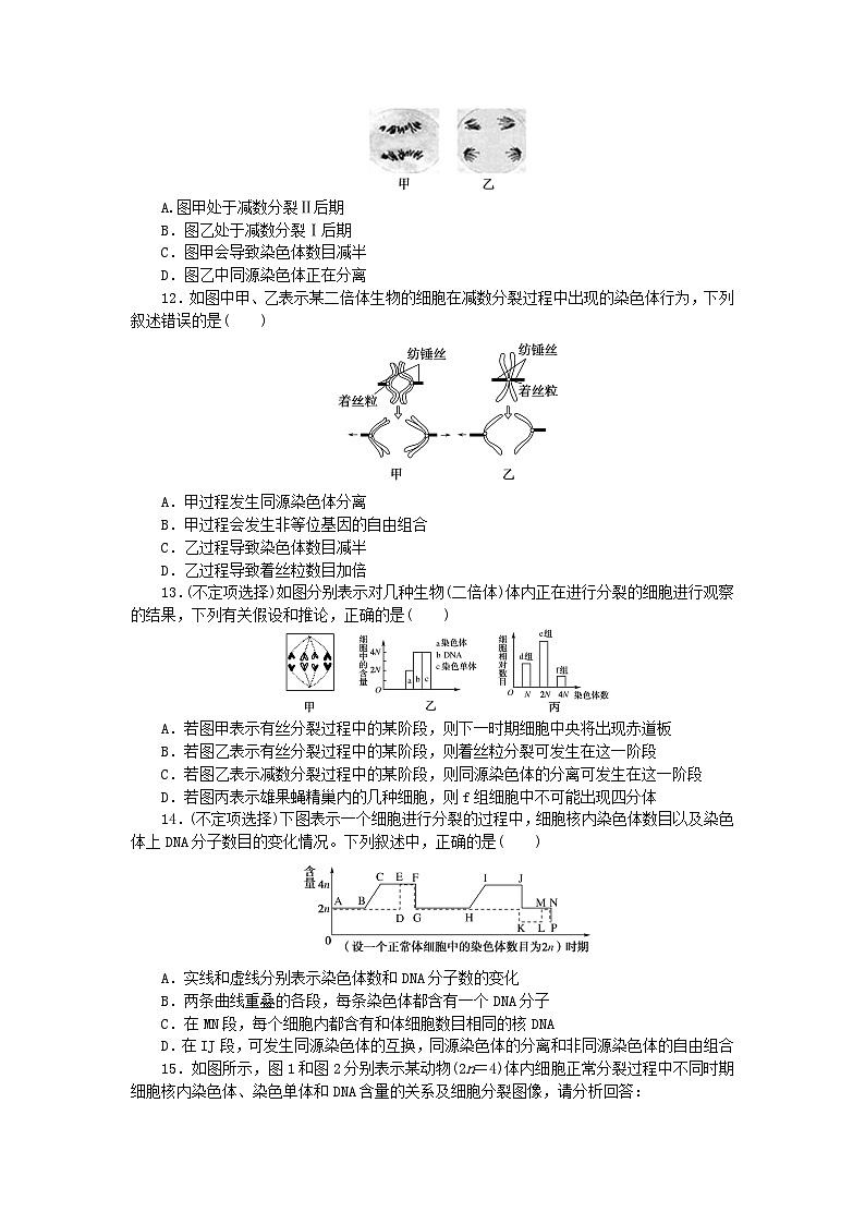 新教材2023版高中生物課后分層檢測(cè)案5減數(shù)分裂與精子和卵細(xì)胞的形成過(guò)程新人教版必修2第3頁(yè)
