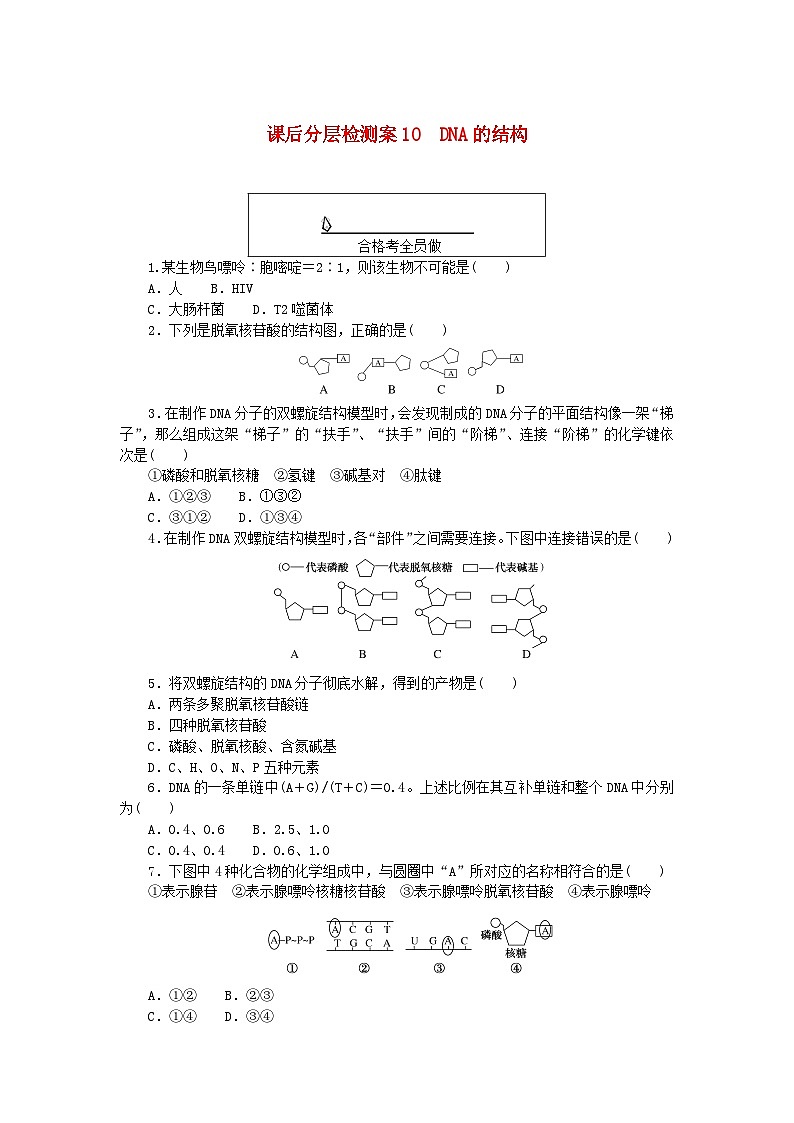 新教材2023版高中生物课后分层检测案10DNA的结构新人教版必修2第1页