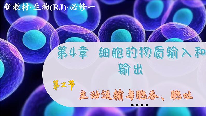 4—2 主动运输与胞吞、胞吐 (课件PPT)第1页