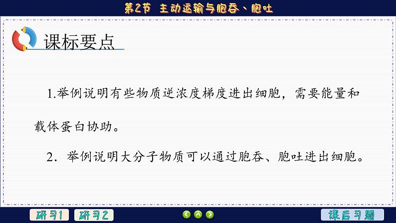 4—2 主动运输与胞吞、胞吐 (课件PPT)第2页