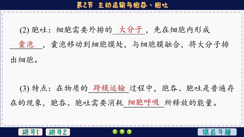 4—2 主动运输与胞吞、胞吐 (课件PPT)第8页