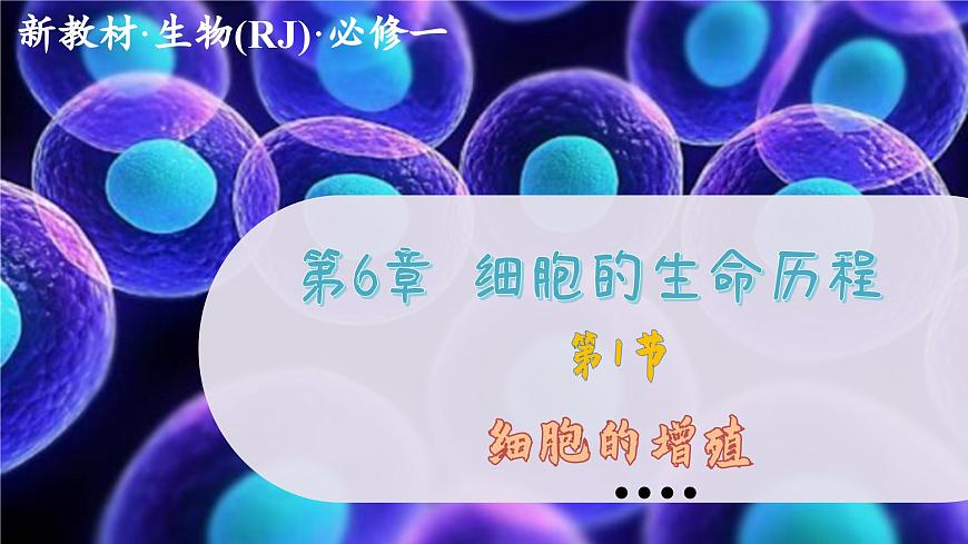 6—1 細胞的增殖 （課件PPT）第1頁