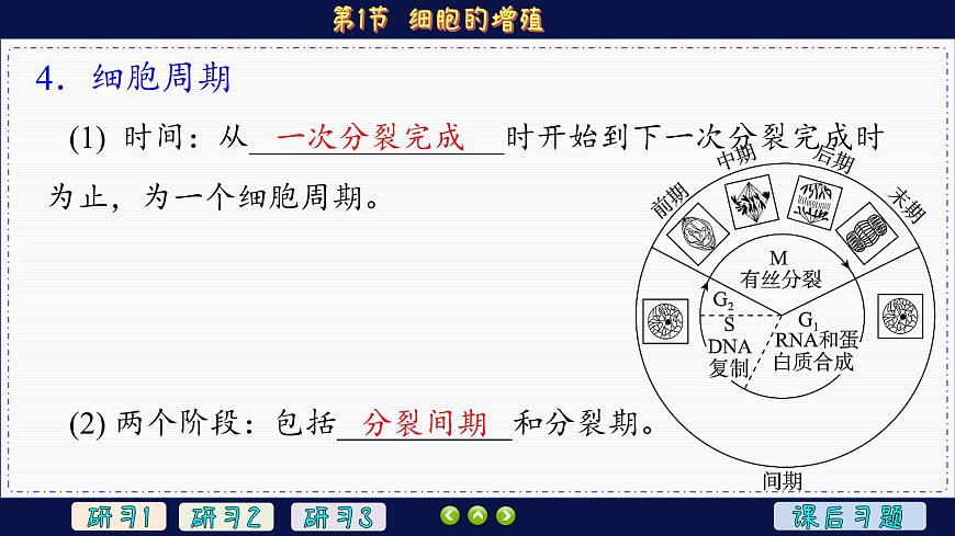 6—1 細胞的增殖 （課件PPT）第8頁