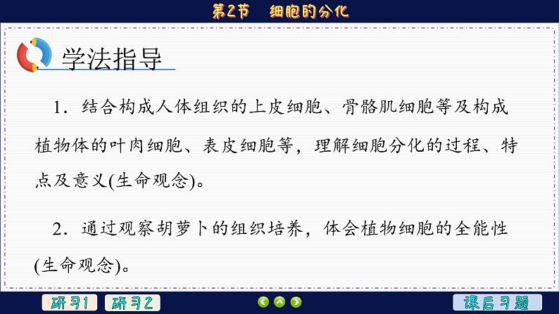 6—2 细胞的分化 (课件PPT)03