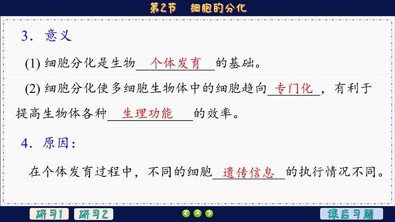 6—2 细胞的分化 (课件PPT)08