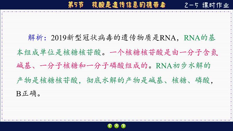 2—5 核酸是遗传信息的携带者 (练习课件PPT)第3页