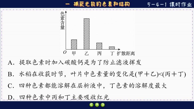 5—4—1 捕获光能的色素和结构 （练习课件PPT）03