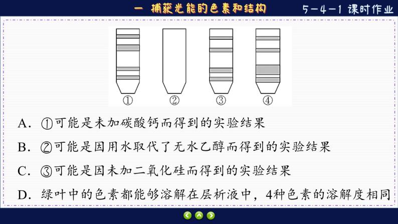 5—4—1 捕获光能的色素和结构 （练习课件PPT）06