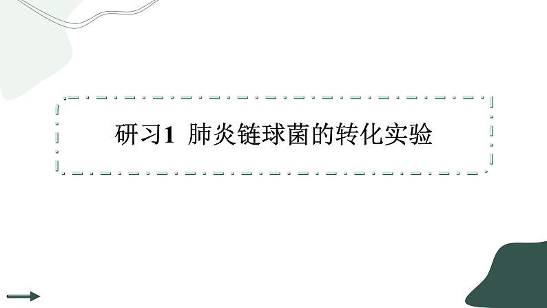 3.1《DNA是主要的遗传物质》课件PPT第4页