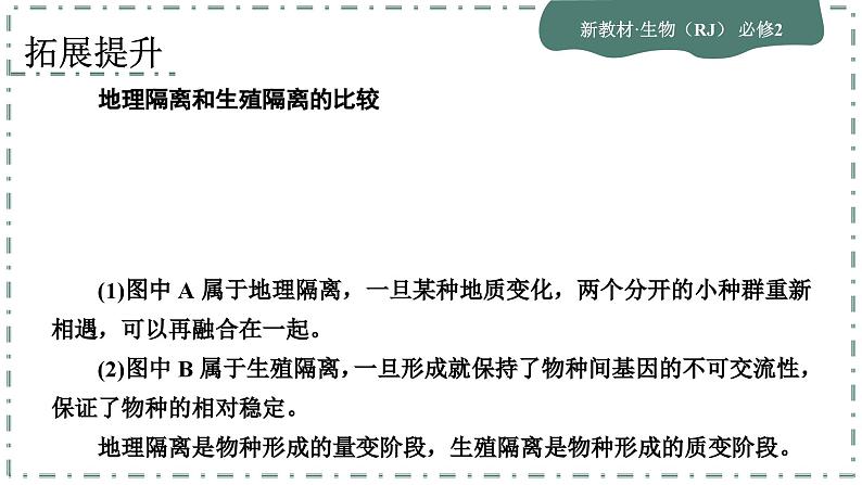 6.3.2《种群基因组成的变化与物种的形成》课件PPT08