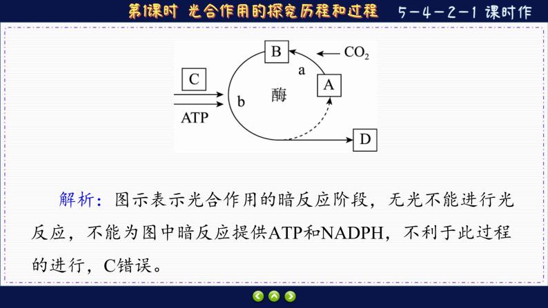 5—4—2—1 光合作用的探究历程和过程 （练习课件PPT）07