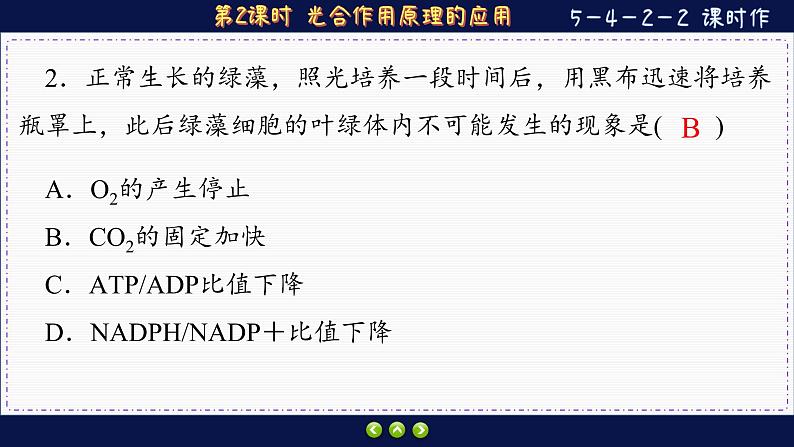 5—4—2—2 光合作用原理的应用 (练习课件PPT)03