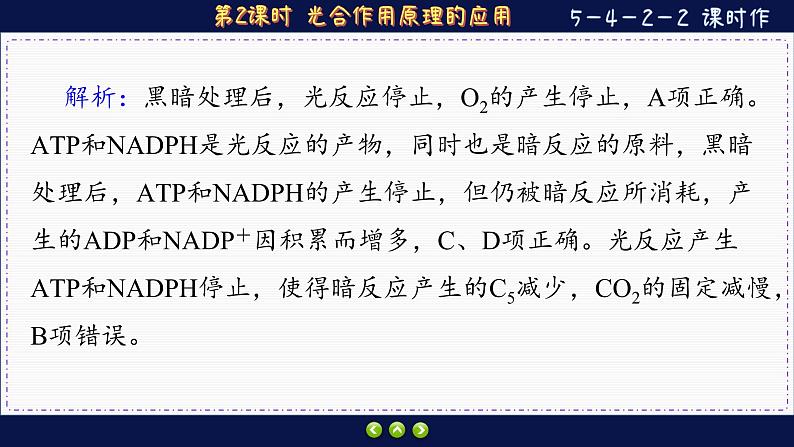 5—4—2—2 光合作用原理的应用 (练习课件PPT)04