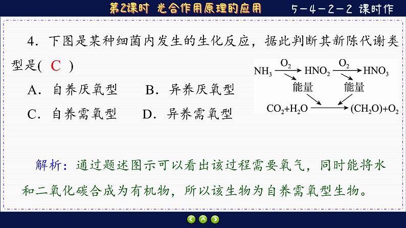 5—4—2—2 光合作用原理的应用 (练习课件PPT)08