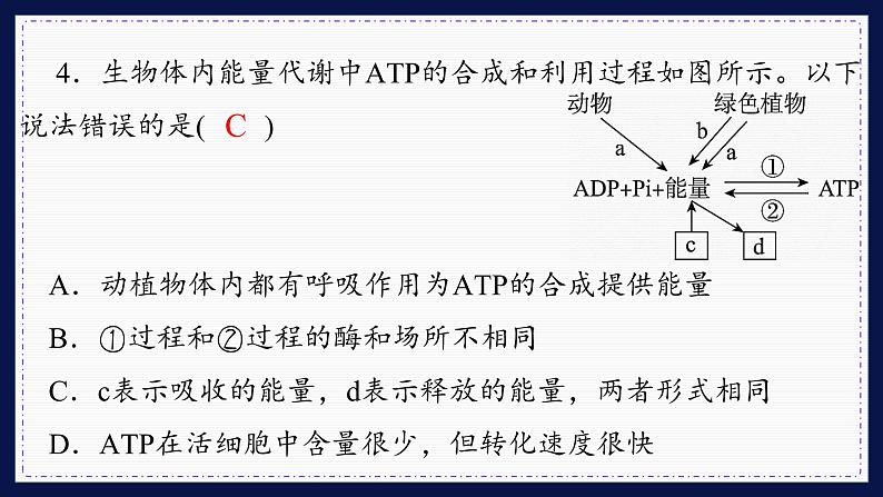 人教版生物必修1 综合测评4(课件PPT)07
