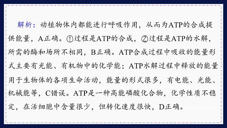 人教版生物必修1 综合测评4(课件PPT)08