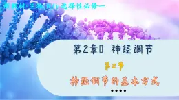 2—2 神经调节的基本方式 （课件PPT）