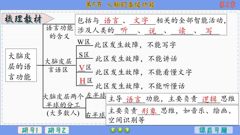 2—5 人脑的高级功能  （课件PPT）04