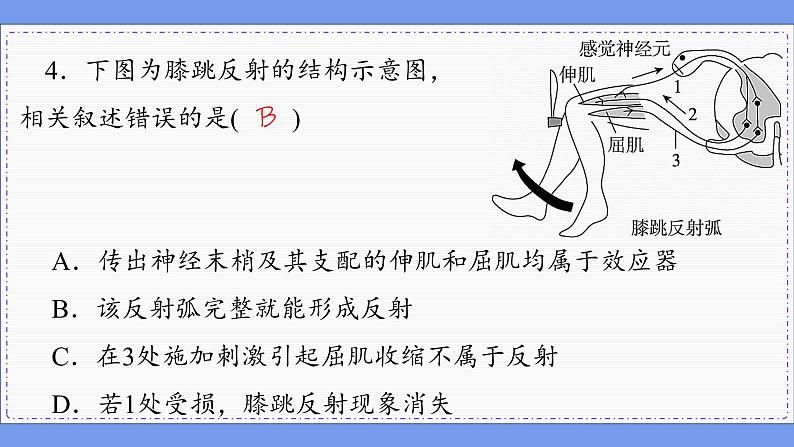 人教版生物选修1 第2章 综合微评(课件PPT)第8页