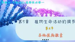 5—2 其他植物激素  （课件PPT）