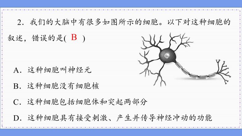 2—1 神经调节的结构基础 （练习课件PPT）04