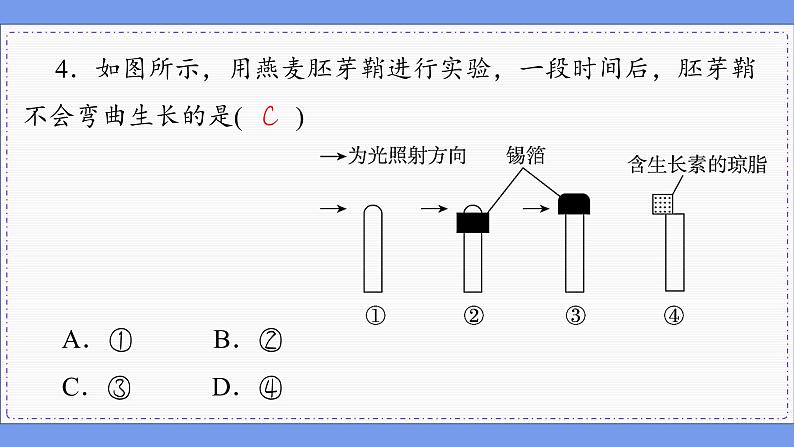 5—1 植物生长素 (练习课件PPT)第8页