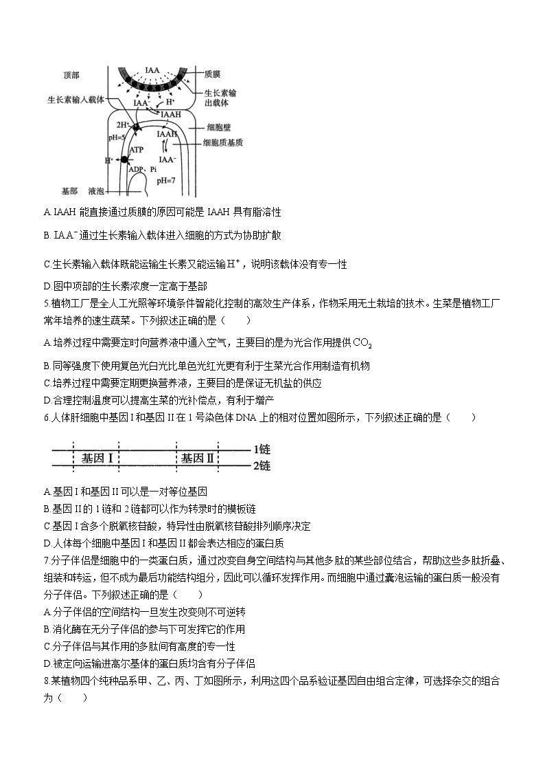 2023湖北省高中名校联盟高一下学期5月联合测评试题生物含解析02