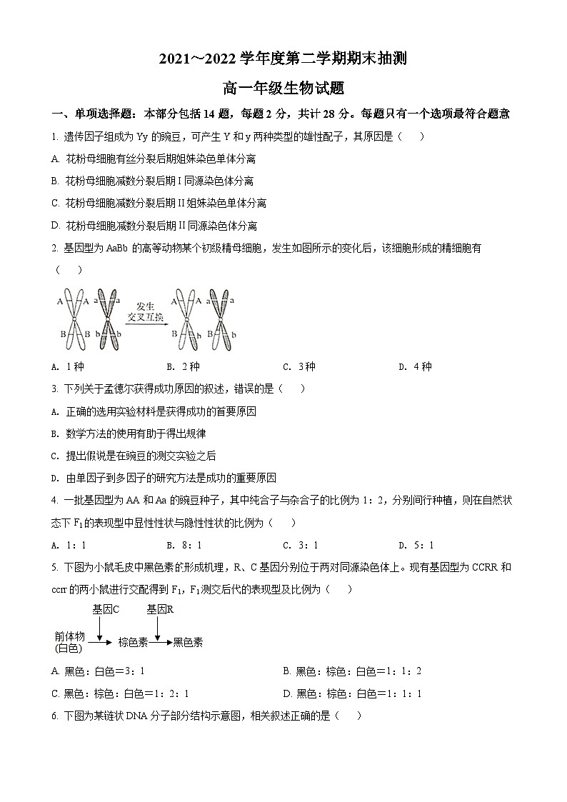 江苏省徐州市2021-2022学年高一下学期期末考试生物试题无答案第1页