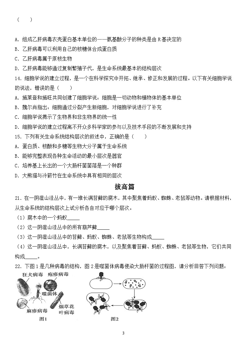 人教版2019必修一高中生物 1.1《细胞是生命活动的基本单位》课件+同步分层练习03