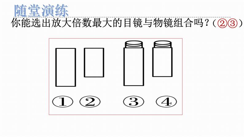 人教版2019必修一高中生物 1.2《细胞的多样性和统一性》课件+同步分层练习07