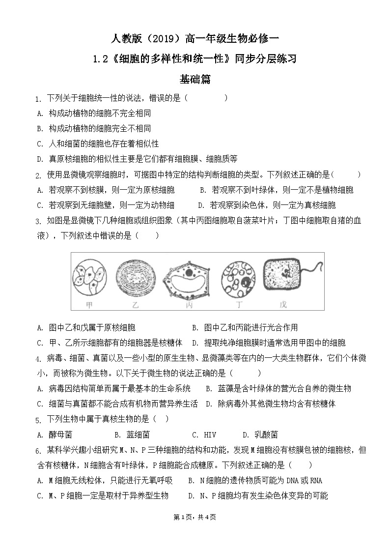 人教版2019必修一高中生物 1.2《细胞的多样性和统一性》课件+同步分层练习01