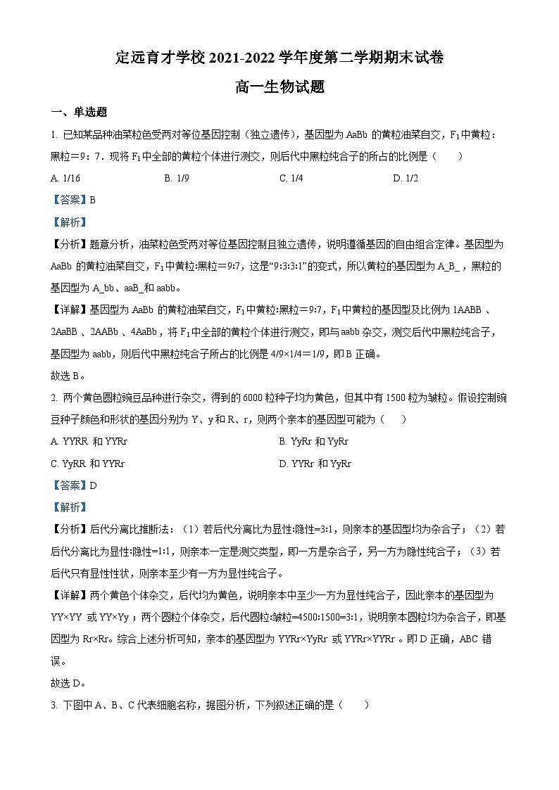 安徽省滁州市定远县育才学校2021-2022学年高一生物下学期期末试题(Word版附解析)第1页