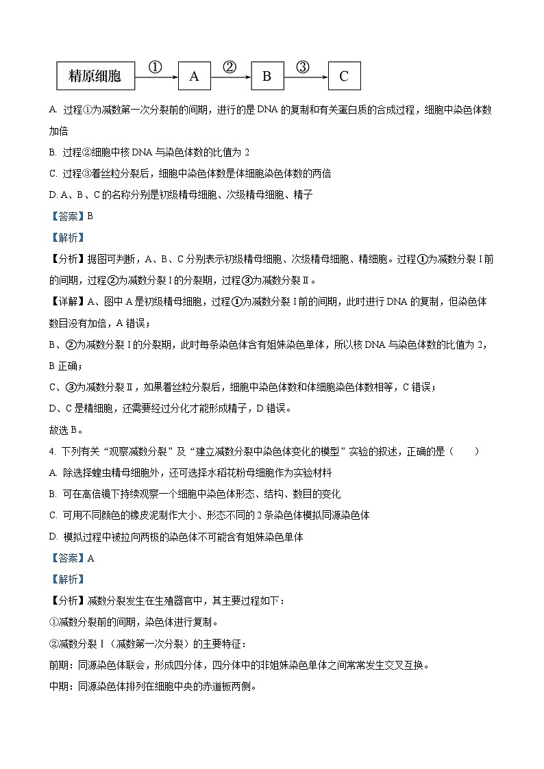 安徽省滁州市定远县育才学校2021-2022学年高一生物下学期期末试题(Word版附解析)第2页